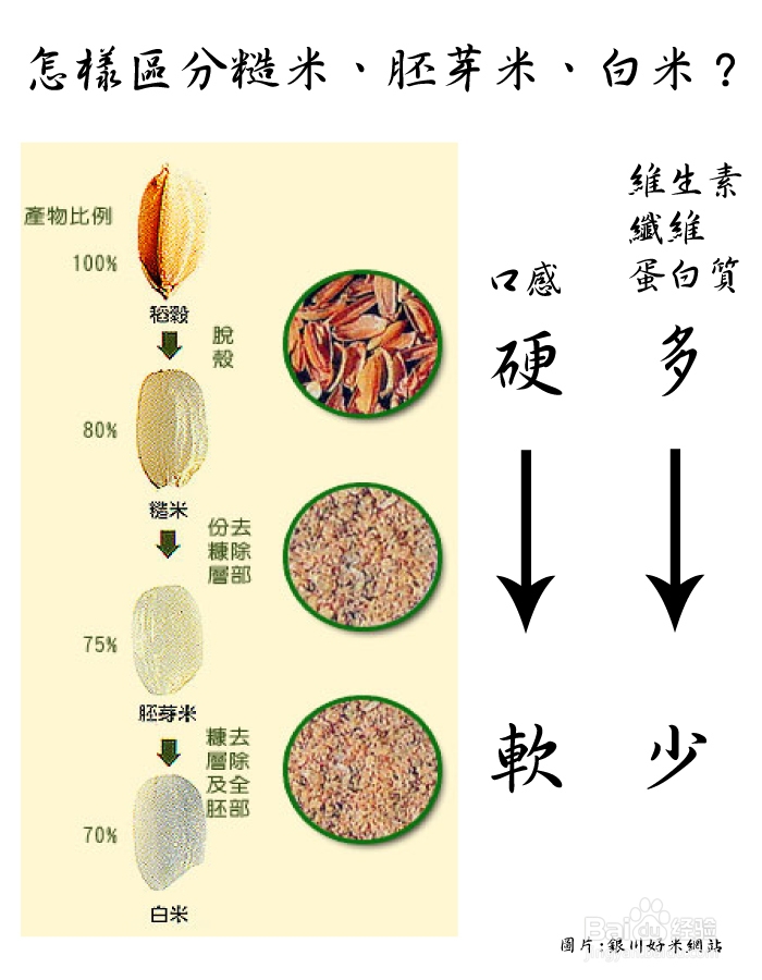 糙米的营养及做法