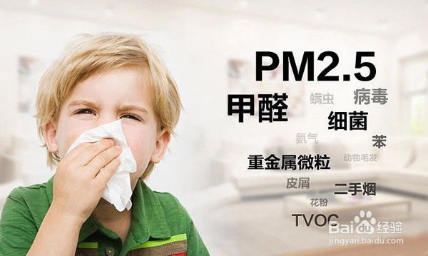 五个清除甲醛的小妙招