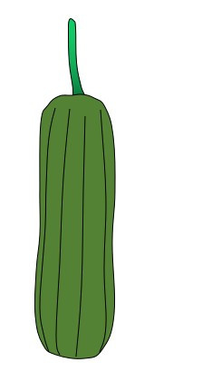 两种画丝瓜的简笔画