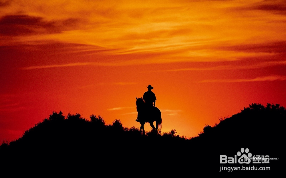 经济信息资源开发与利用：[46]复习总结四十六