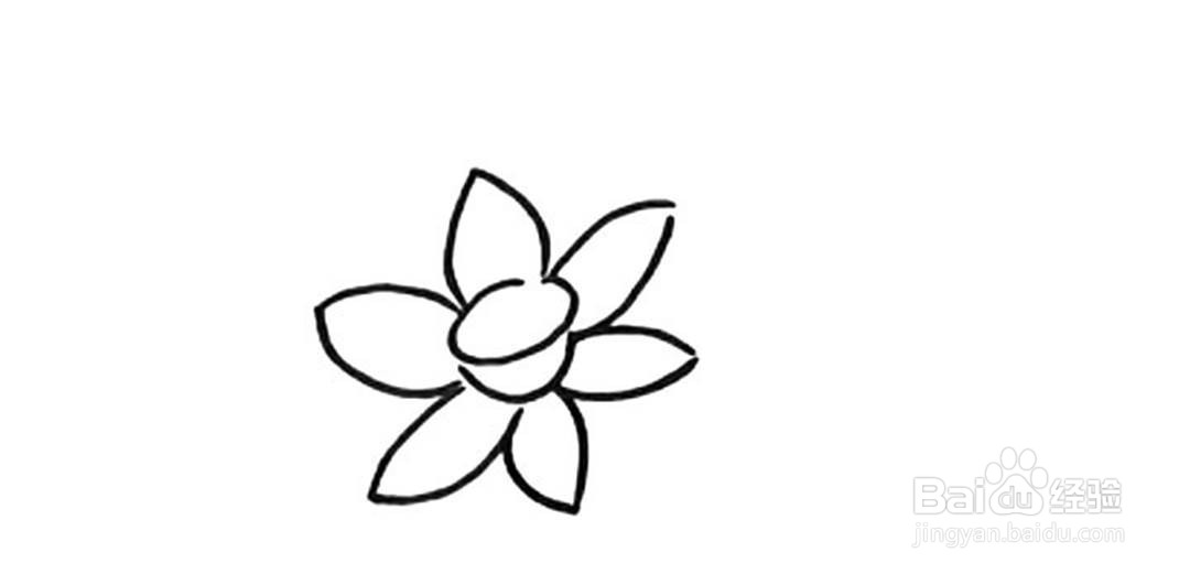 如何画水仙花的卡通简笔画教程