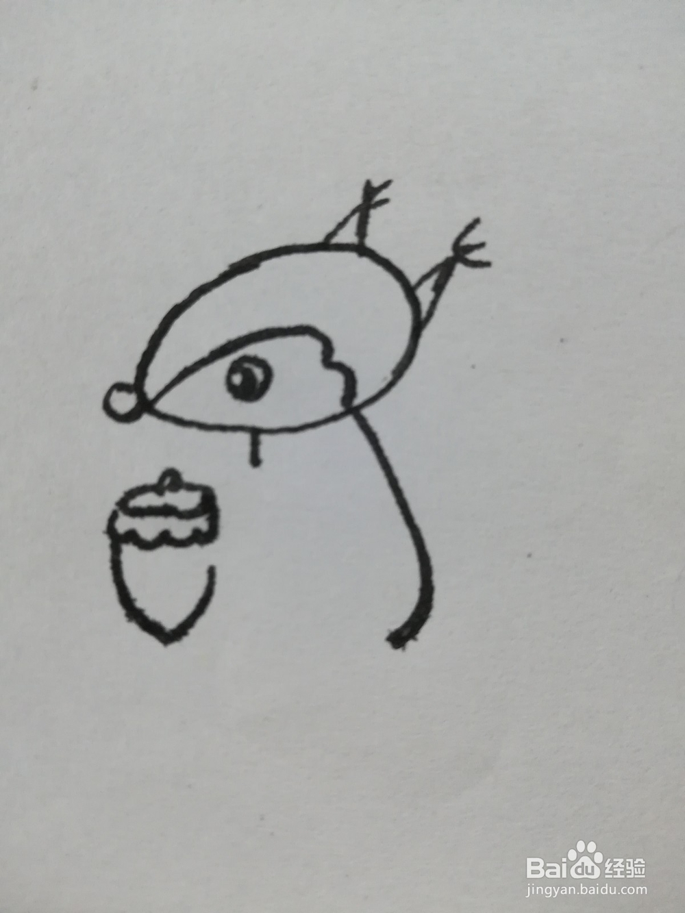 怎么画可爱的小松鼠的简笔画呢