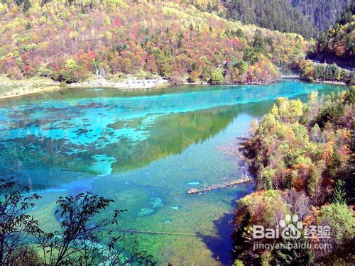 重庆九寨沟双飞自由行三日游攻略