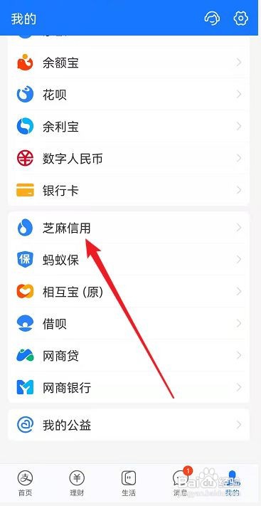 支付宝在哪开启芝麻工作证