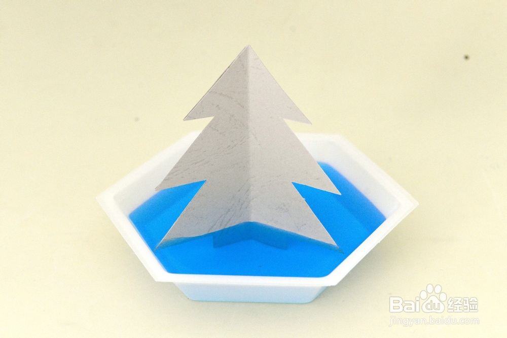 儿童化学小实验 硫酸铜结晶体圣诞树