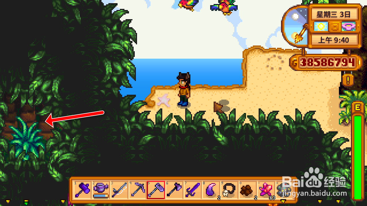 星露谷物语火山矿洞旁的核桃怎么拿