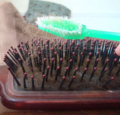 牙刷手镯:从牙齿武装到手腕!