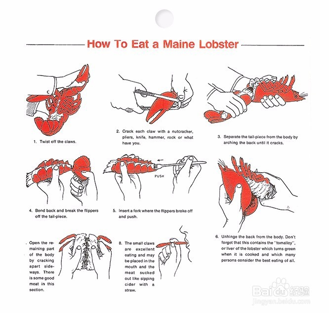 跳入龙虾大坑前,先读这篇入坑说明书