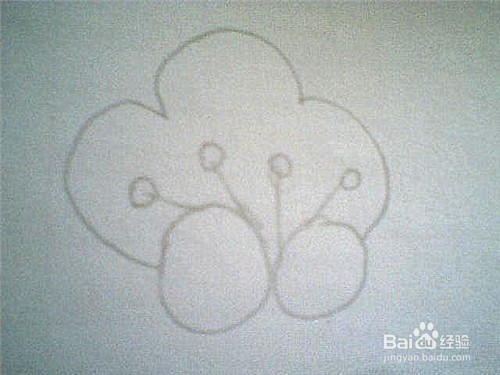 简笔画漂亮的花: