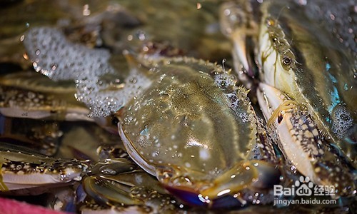 三亚第一市场吃海鲜