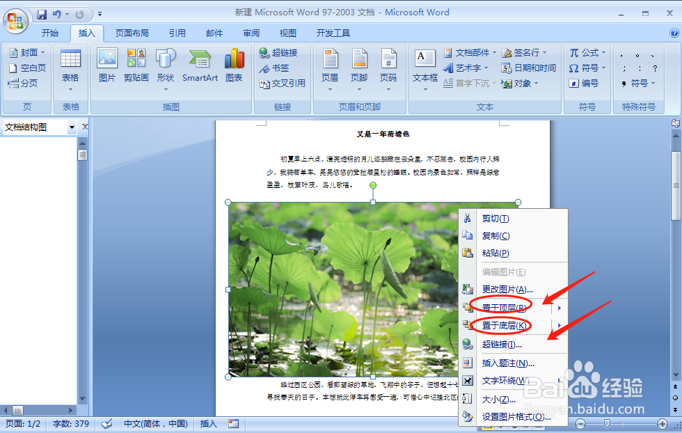 word图片不显示或显示不全怎么办