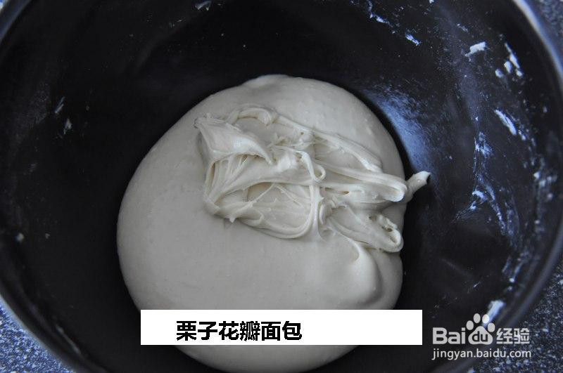 栗子花瓣面包的做法