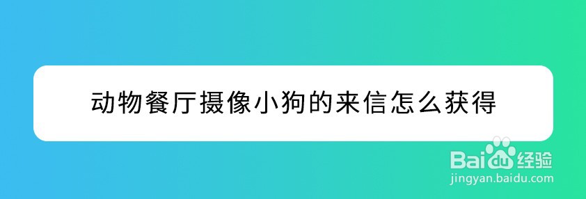 动物餐厅摄像小狗的来信怎么获得