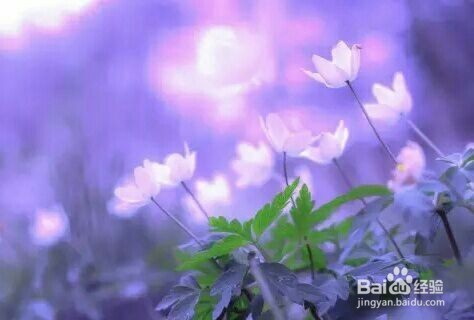 怎样才能不会晕车 晕车能治好吗