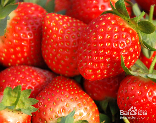 1岁以内宝宝辅食黑名单