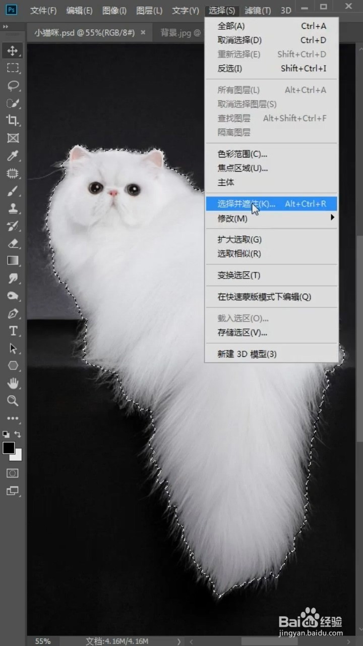 PS中如何抠猫咪的毛发?