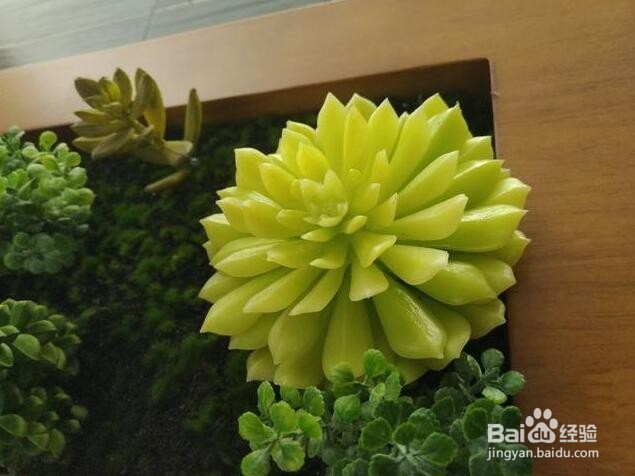 努比亚z11黑金版开箱测评