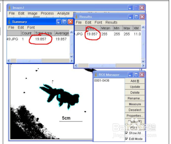 如何测定图片中物体的大小?