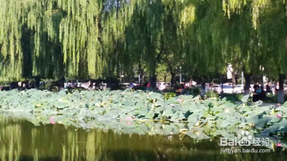 【校园指南】承德石油高等专科学校招生报道篇