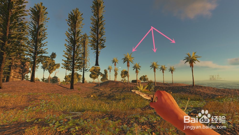 深海搁浅里的椰子有什么吃法？