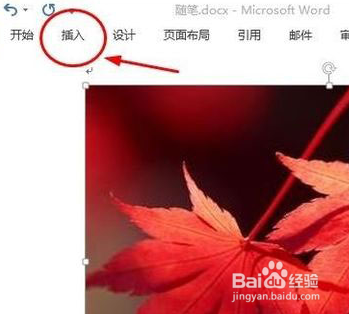 在Word中插入的图片如何只变大小不变形