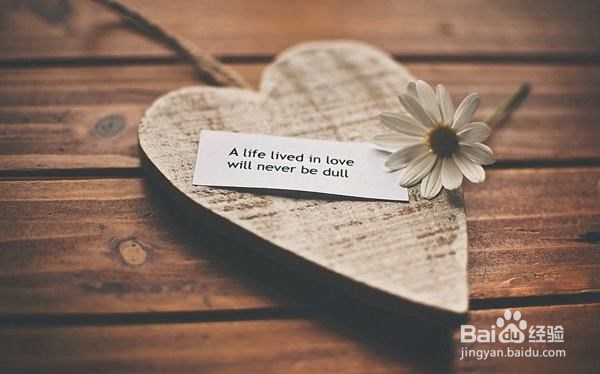 【星座】向来情深,奈何缘浅