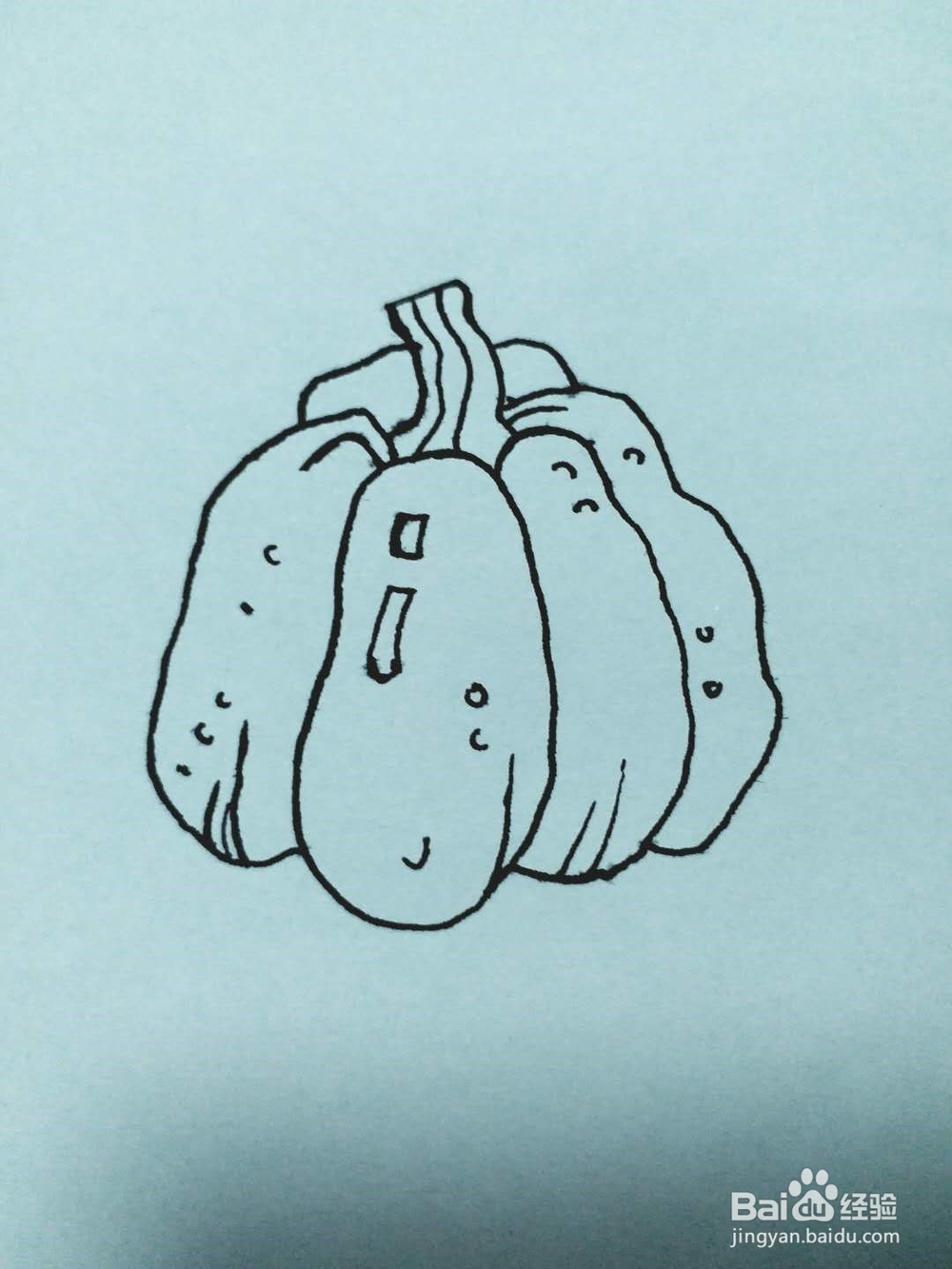 南瓜的简单画法