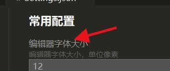 HBuilderX如何设置编译器的字体大小#校园分享#