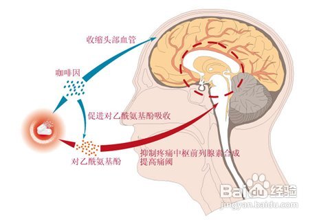 治疗头痛的十个特效穴
