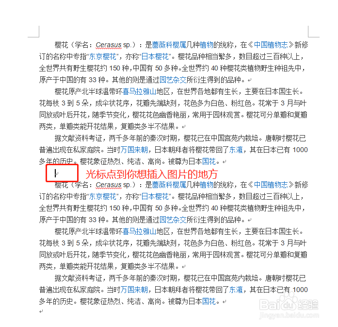 如何在Word插入图片