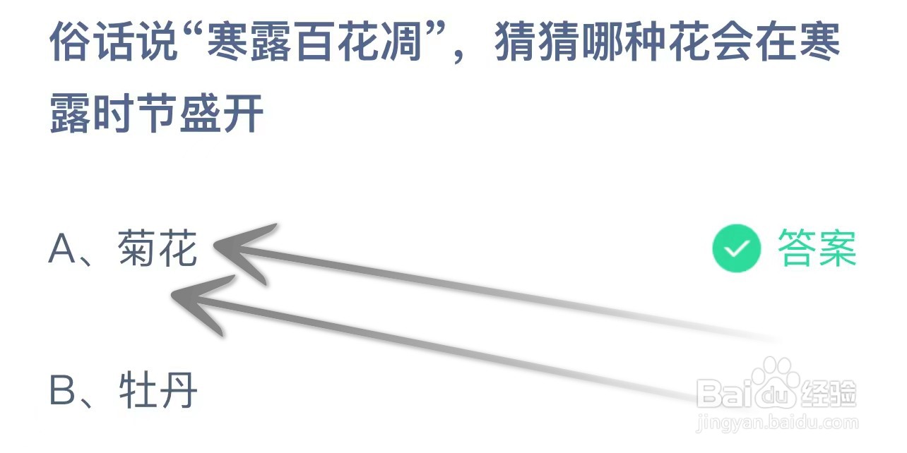寒露百花凋哪种花会在寒露时节盛开 蚂蚁庄园