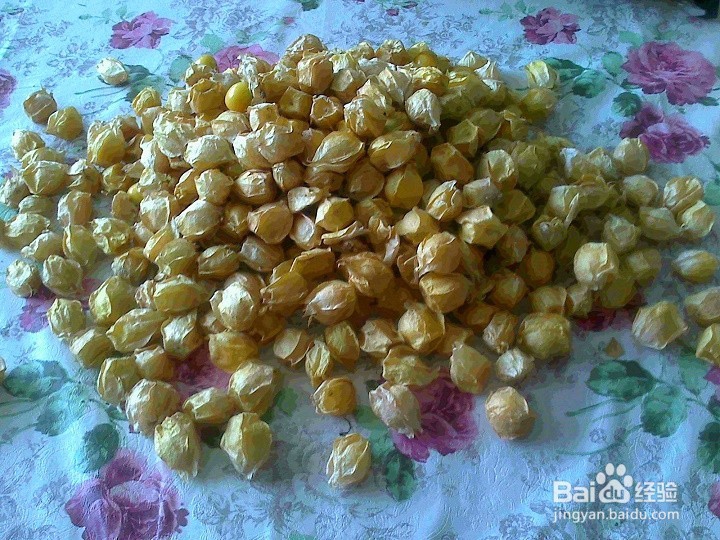 老年人怎样用做游戏的方法和孩子吃姑鸟