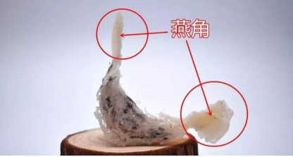 燕窝真假有什么区别，怎么鉴别？