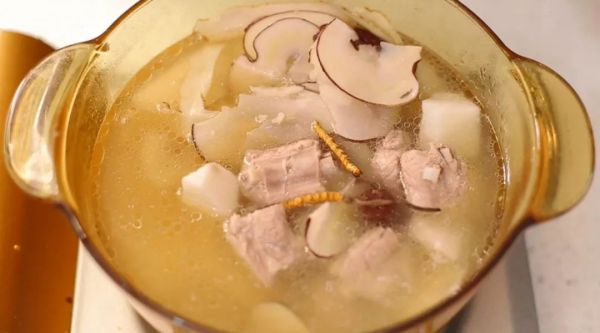 冬虫夏草海底椰排骨汤