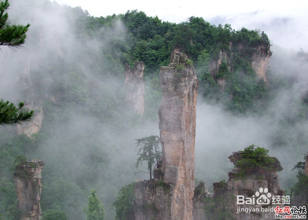 长沙到张家界自助游