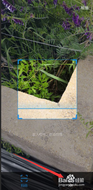 手机支付宝如何识别花朵AR识花怎么用