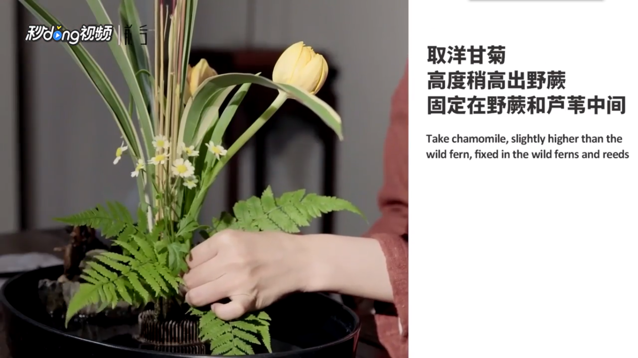郁金香与芦苇怎么插花