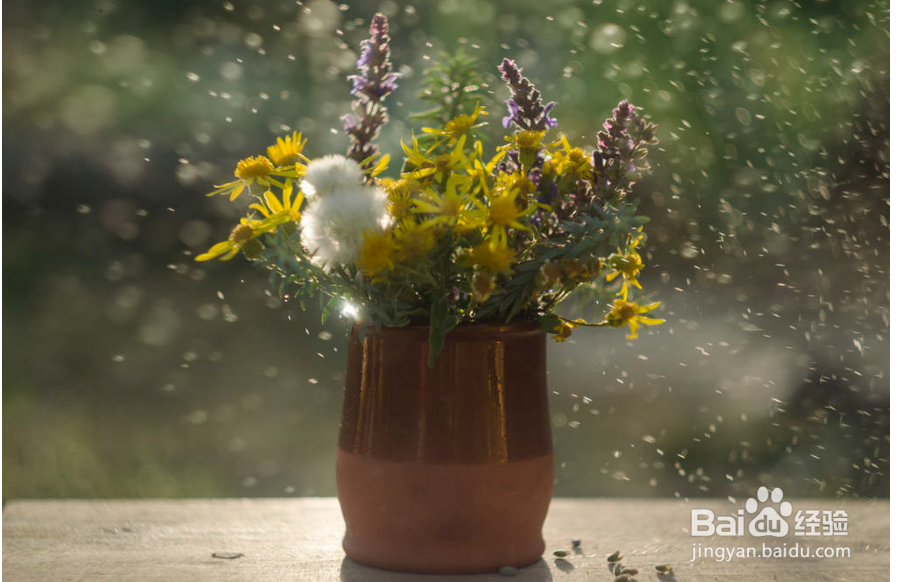 鲜花的养护和保鲜方法