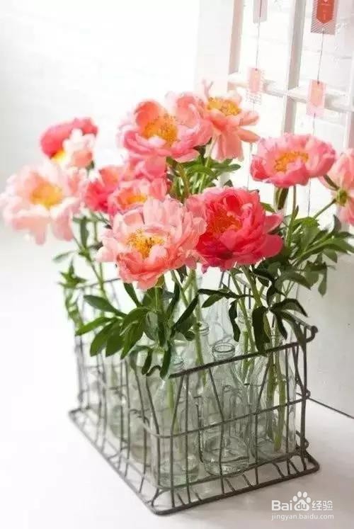 食盐的几个日常小妙招？