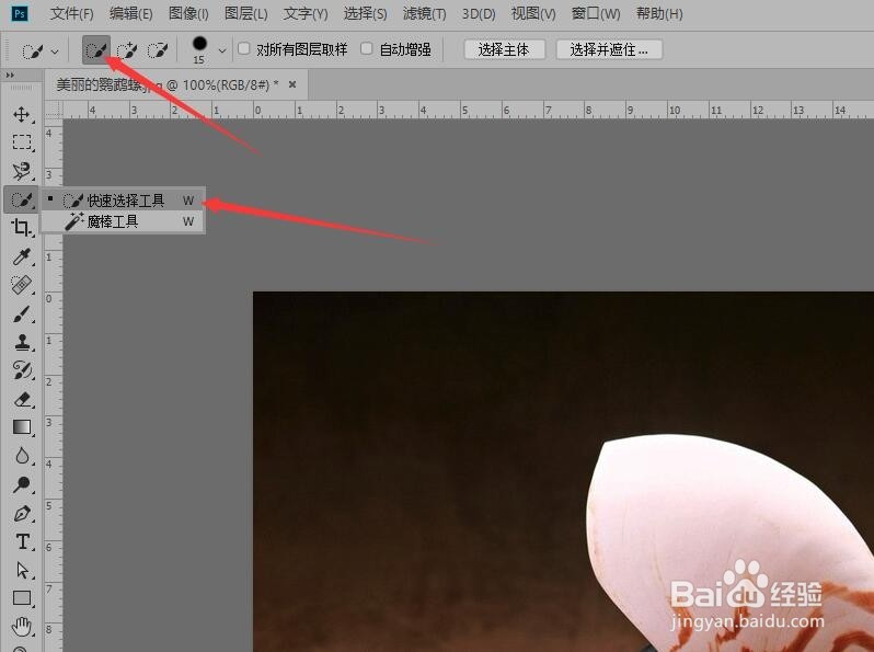 Photoshop 如何使用快速选择工具抠图