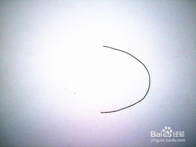 简笔画—小白兔的画法