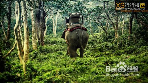 尼泊尔旅游摄影团摄影旅行须知