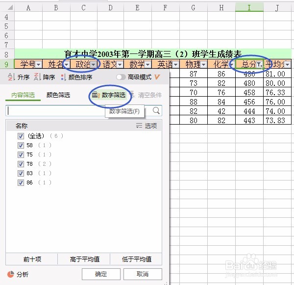 如何应用WPS表格的数据自动筛选