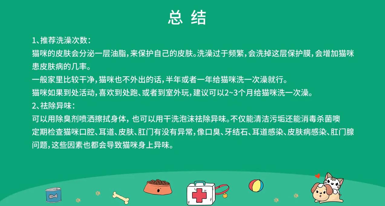 猫咪身上有异味怎么处理