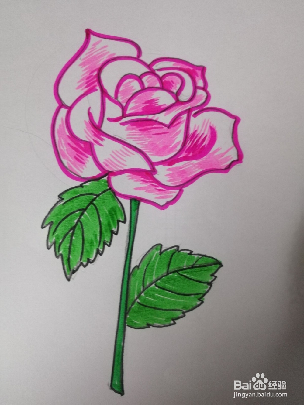 简笔画----玫瑰的画法