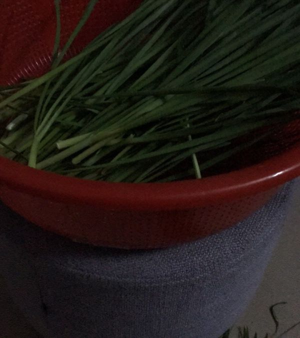 北极虾韭菜盒子
