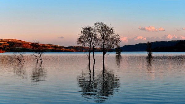 喝茶听琴的诗句