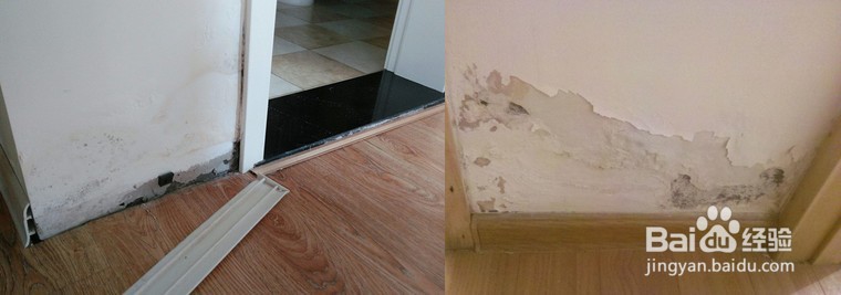 邻里之间防水如何做隔断