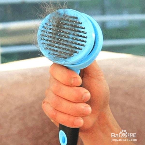 痒痒粉的简单制作方法