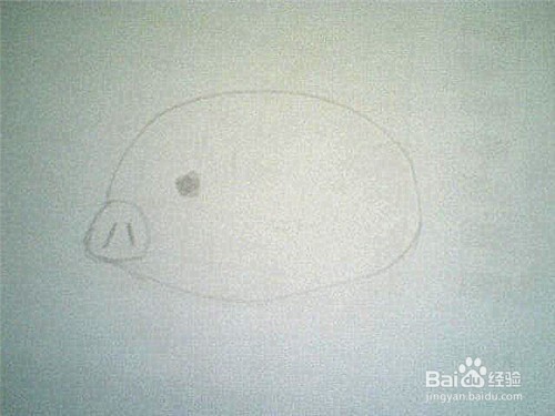 简笔画猪的画法: